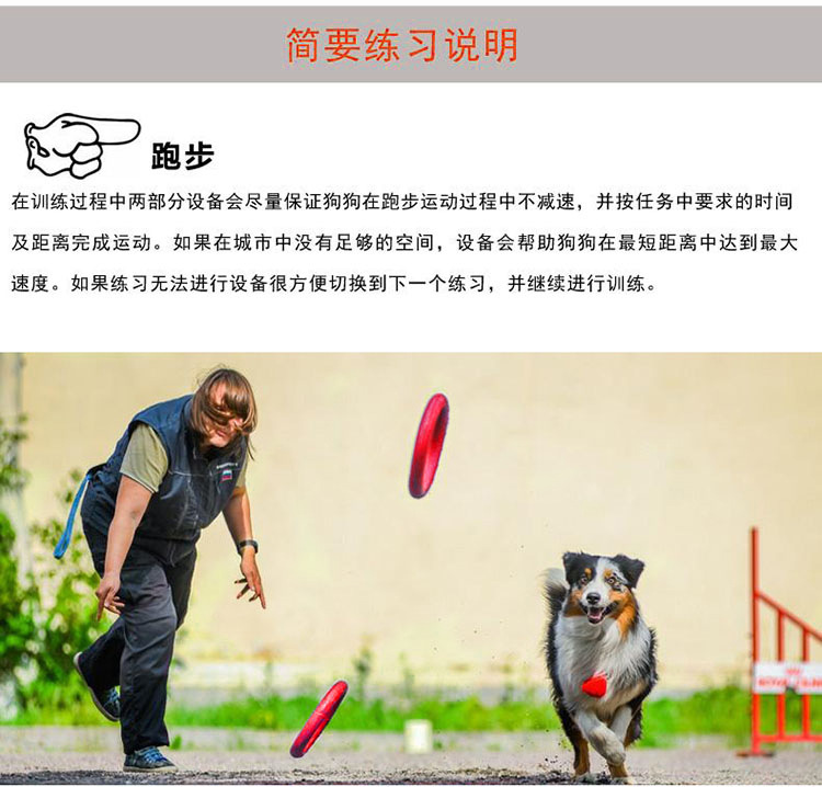 Customized Dog Flying Disc manufacturers From China | Roadreign LL-3021 6