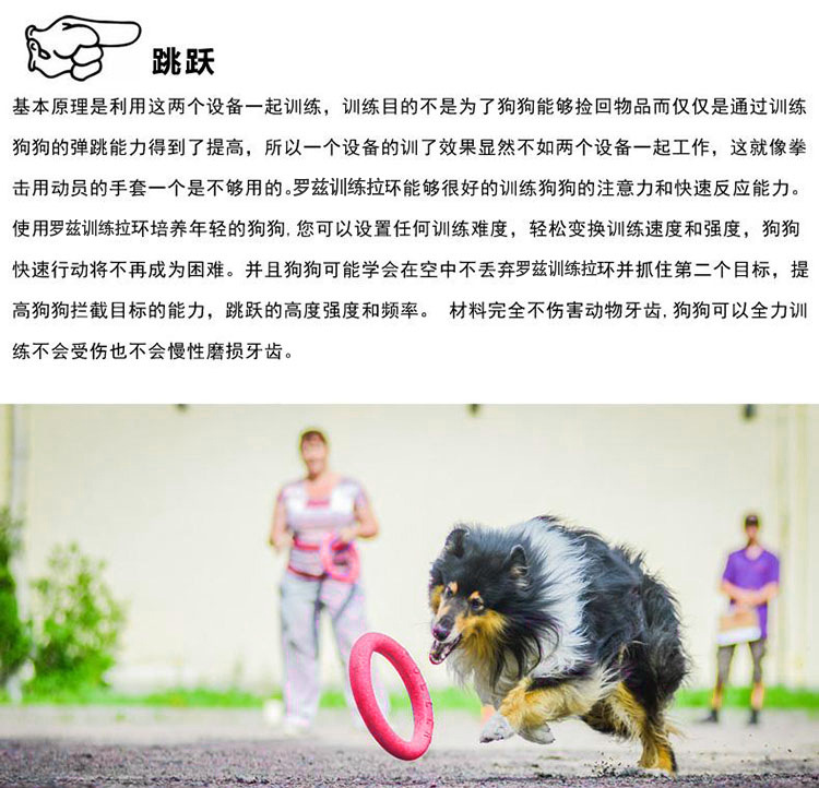 Customized Dog Flying Disc manufacturers From China | Roadreign LL-3021 7