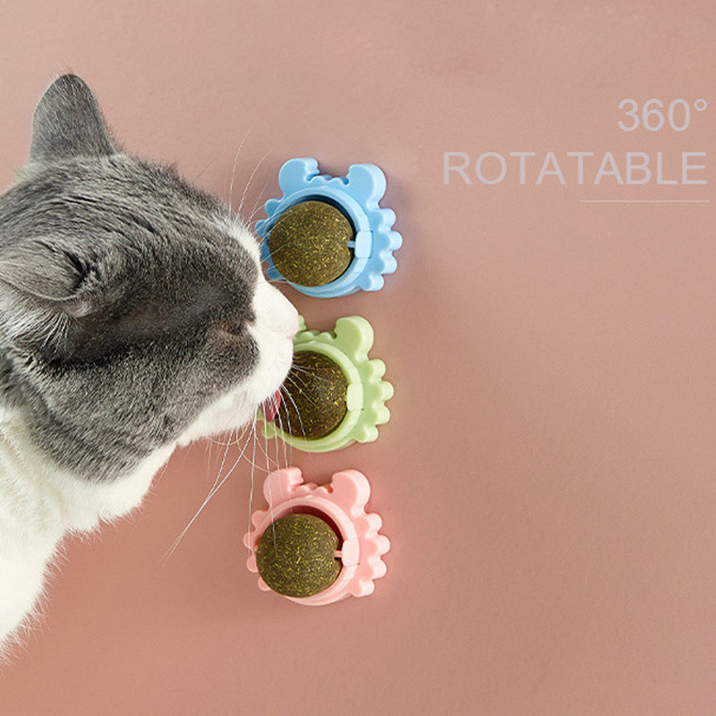 Quality Cat Spinning Toys Manufacturer | Roadreign LL-3643 5