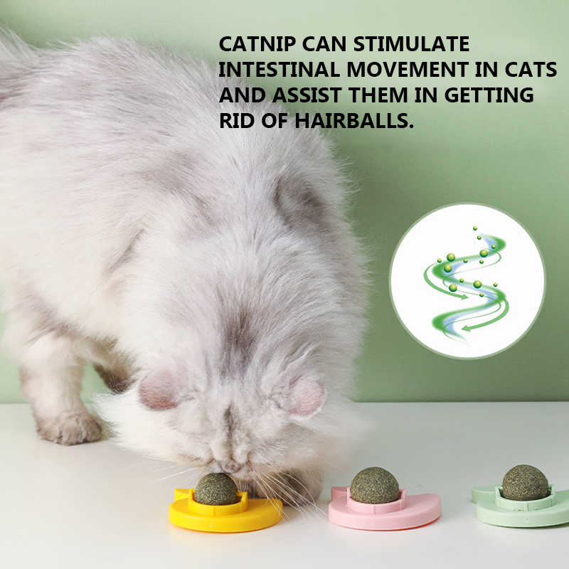 Best Cat Spinning Toys Company - Roadreign LL-3639 7