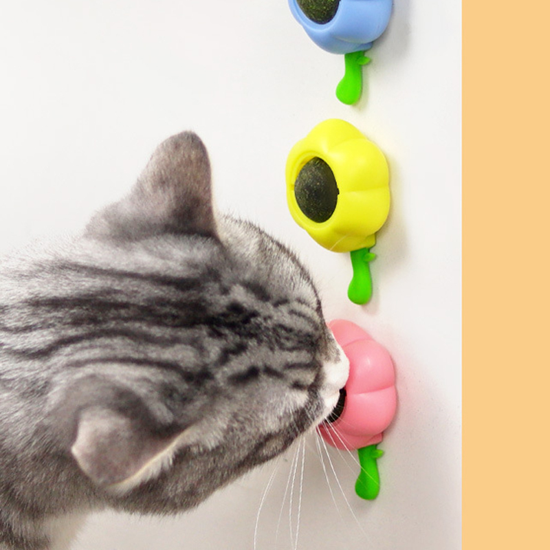 Customized Cat Spinning Toys manufacturers From China | Roadreign LL-3638 4