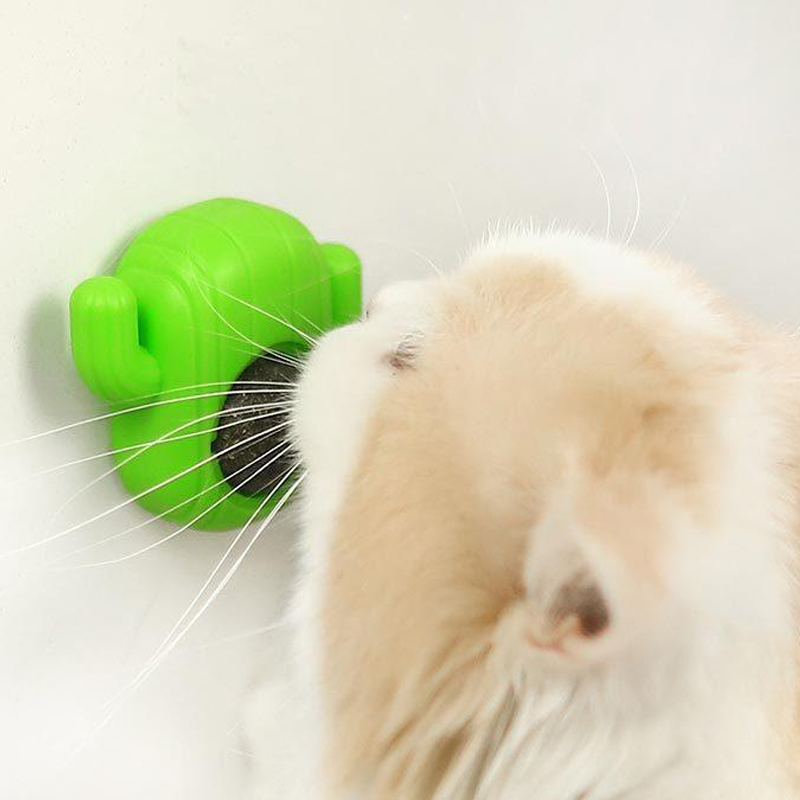 Quality Cat Spinning Toys Manufacturer | Roadreign LL-3636 4