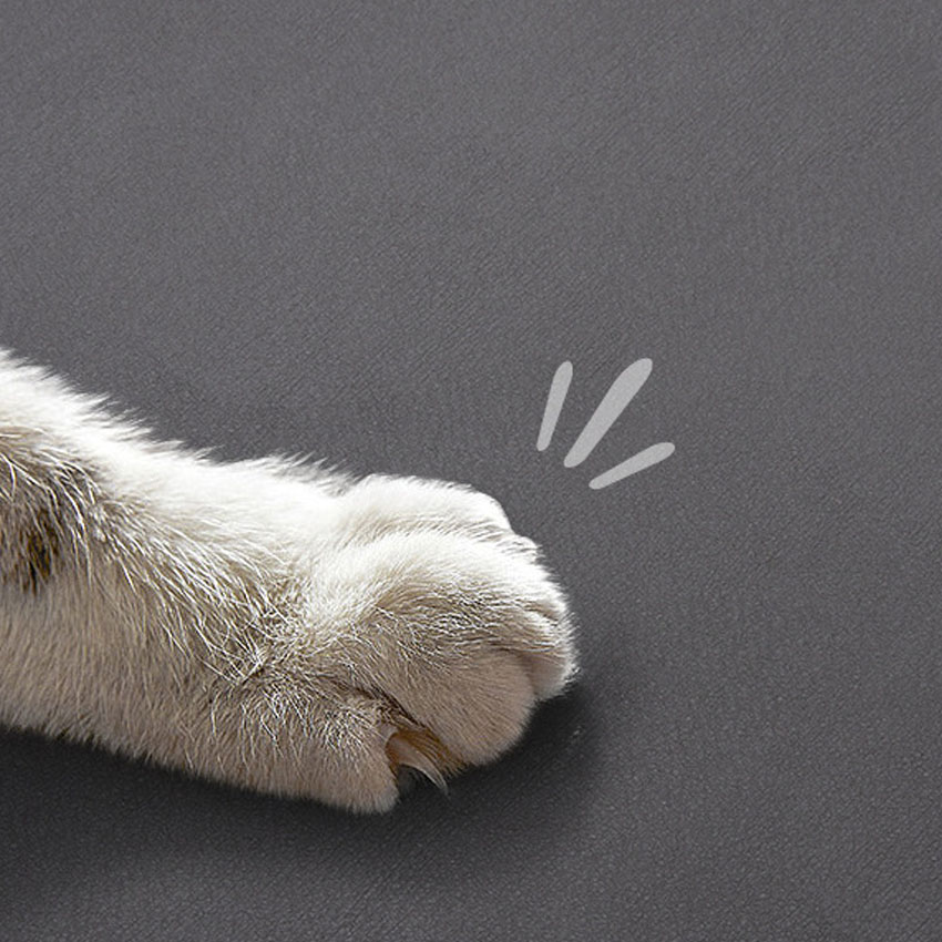 Best Pet Bowl Mat Company - Roadreign LL-2362 9