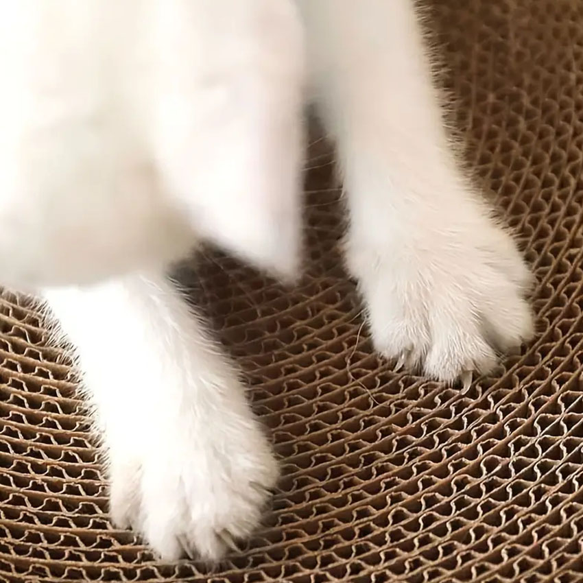 Customized Scratching Post manufacturers From China | Roadreign LL-3801 3