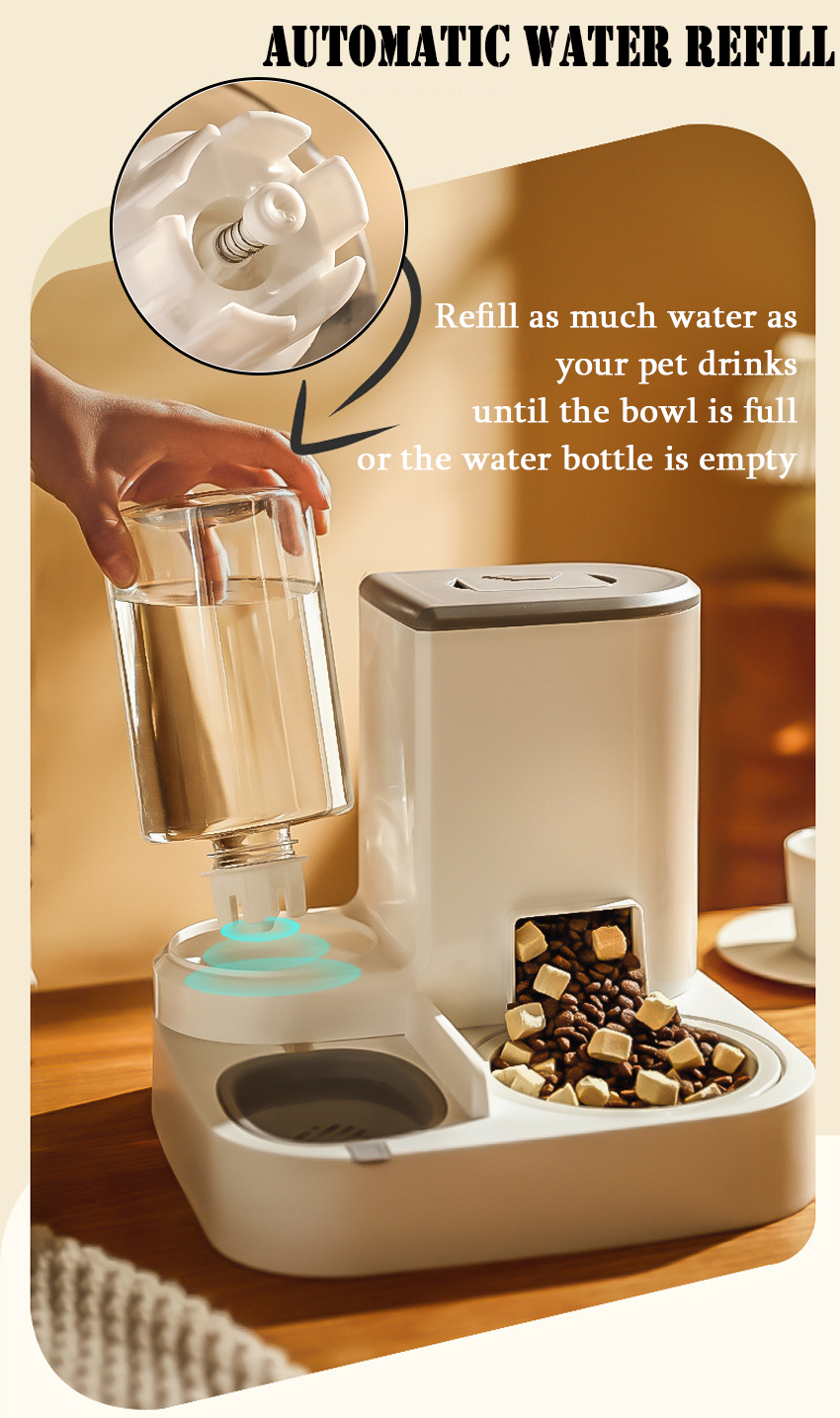 Best Plastic Automatic Pet Feeder Company - Roadreign LL-2616 6