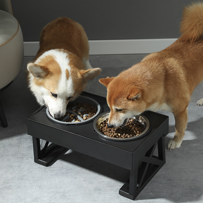 Customized Adjustable dog bowl manufacturers From China | Roadreign LL-2408 5