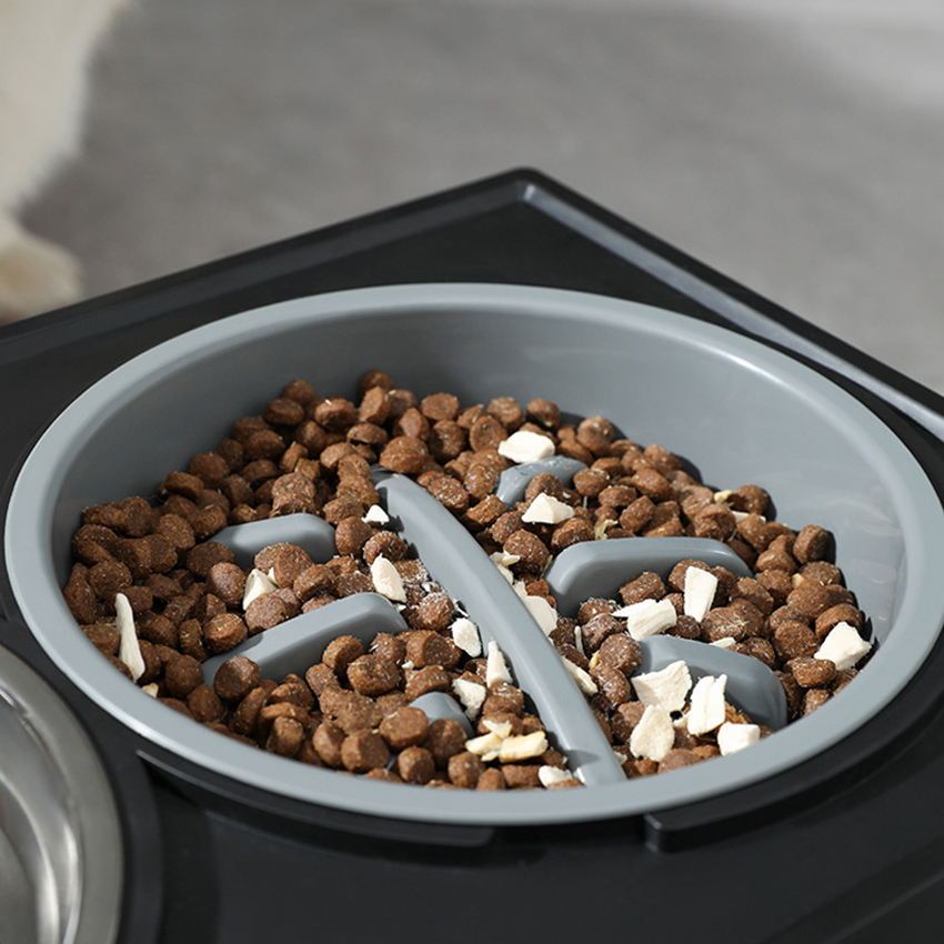 Customized Adjustable dog bowl manufacturers From China | Roadreign LL-2408 6