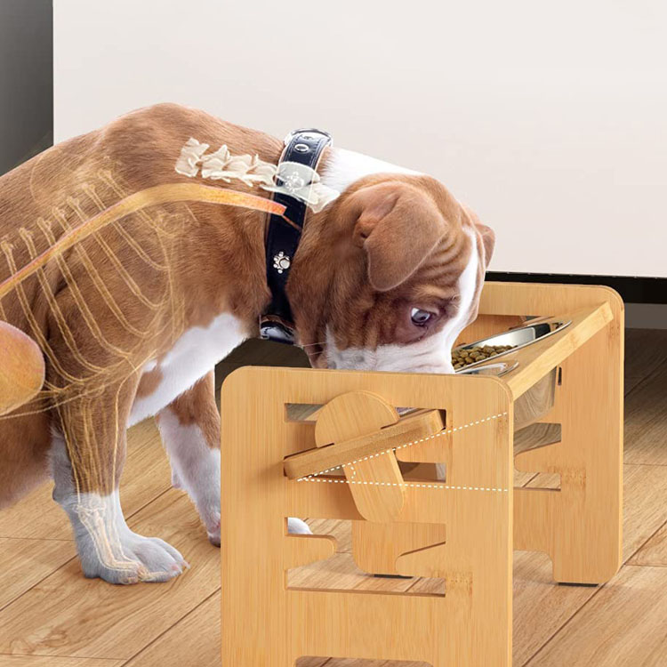 Quality Pet Ceramic Bowl Manufacturer | Roadreign LL-2405 2