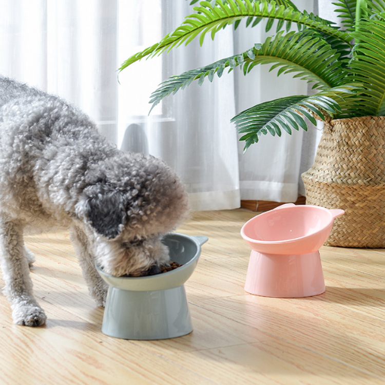 Best Pet Bowl Company - Roadreign LL-2014 5