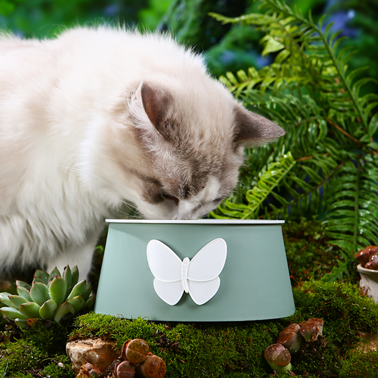 Quality Plastic Pet  Bowl Manufacturer | Roadreign LL-2042 5