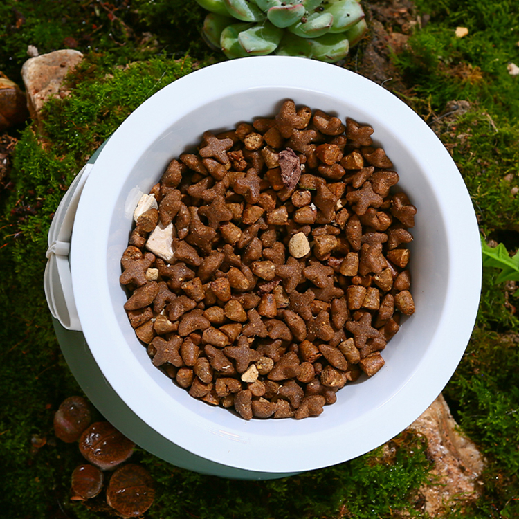 Quality Plastic Pet  Bowl Manufacturer | Roadreign LL-2042 7