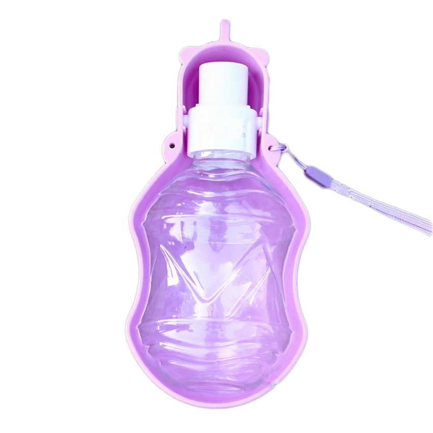 Quality Pet Bottle Manufacturer | Roadreign LL-2809 1