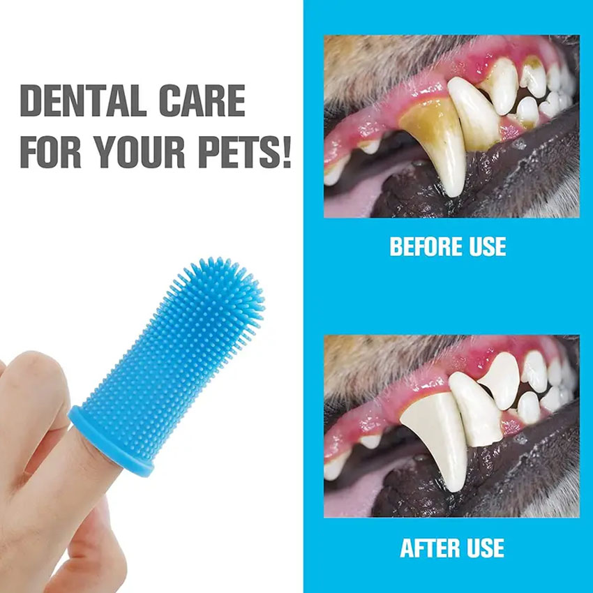 Quality Pet Teeth Brush Manufacturer | Roadreign LL-8506 7