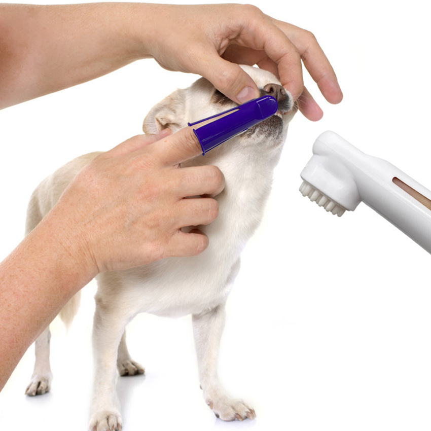 Best Pet Teeth Brush Company - Roadreign LL-8503 4