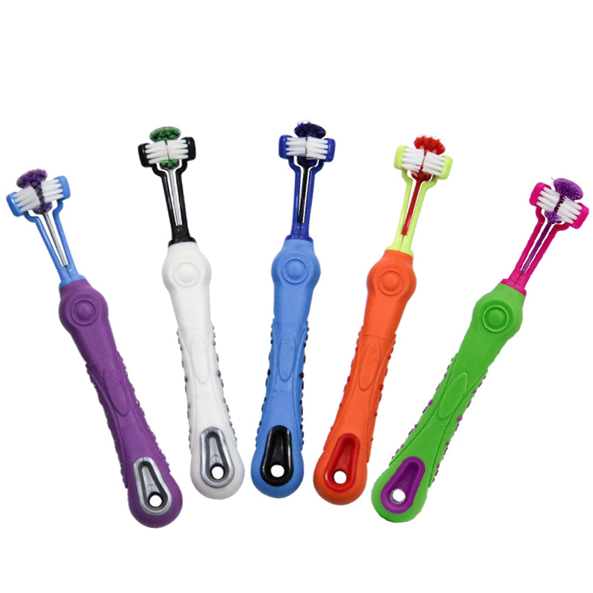 Best Pet Teeth Brush Company - Roadreign LL-8502 1