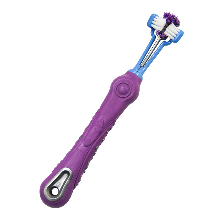 Best Pet Teeth Brush Company - Roadreign LL-8502 2