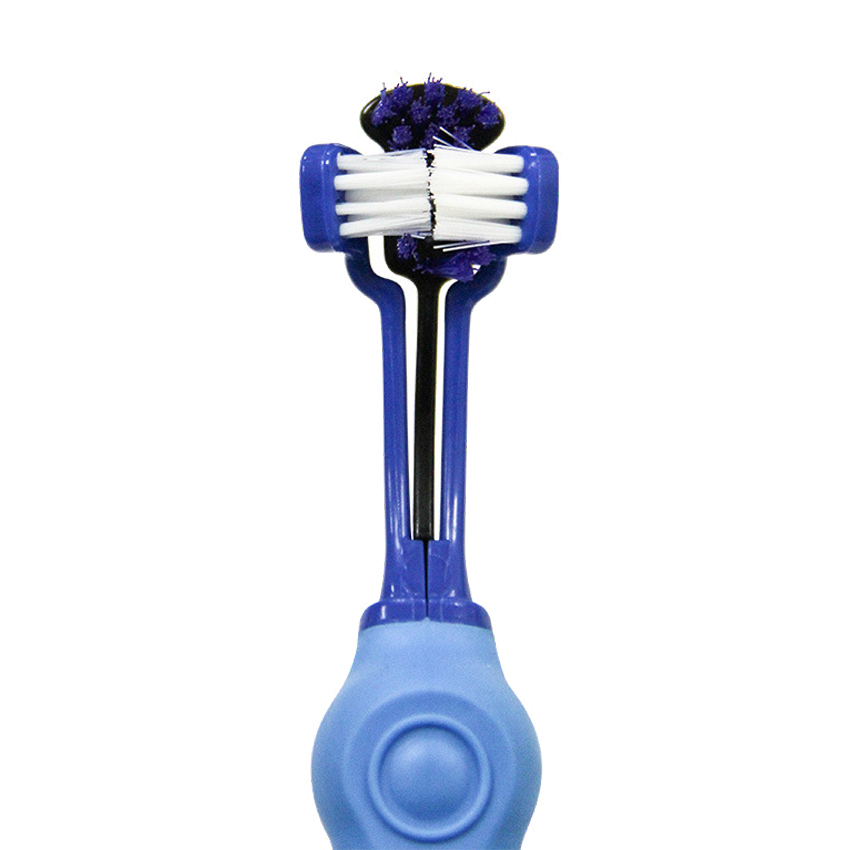 Best Pet Teeth Brush Company - Roadreign LL-8502 7