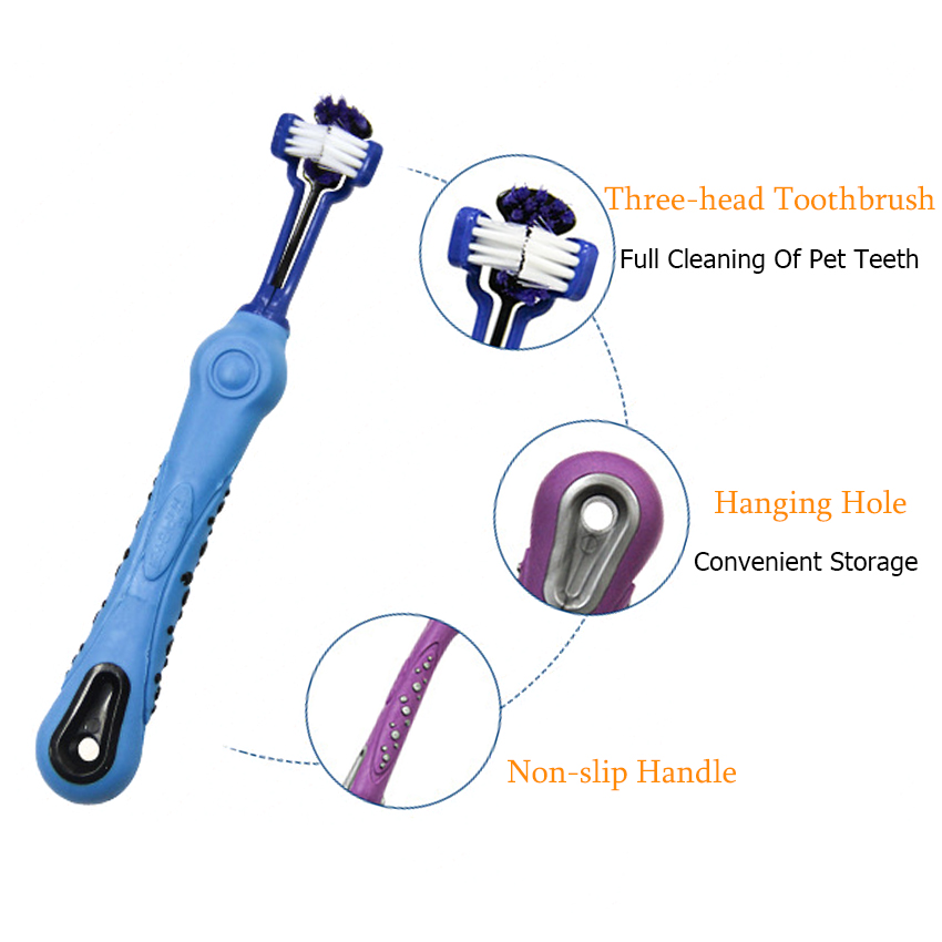 Best Pet Teeth Brush Company - Roadreign LL-8502 6