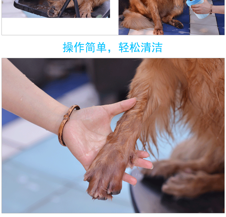 Quality Dog Paw Cleaner Manufacturer | Roadreign LL-6901 8