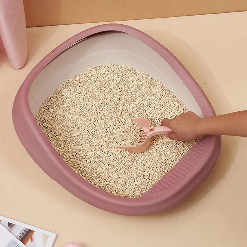 Best cat little box Company - Roadreign LL-1527 6