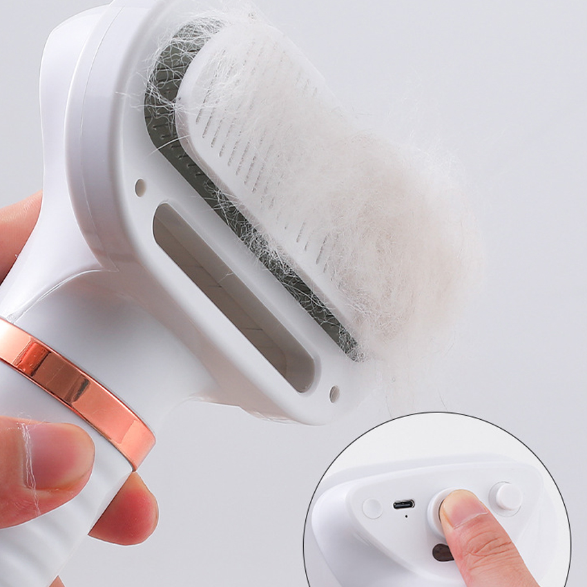 Quality Cat Steam Brush Manufacturer | Roadreign LL-6077 4