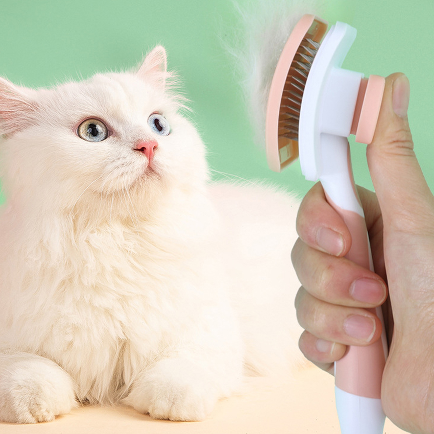 Quality pet comb Manufacturer | Roadreign LLC-6343 Manufacturer | Roadreign 10