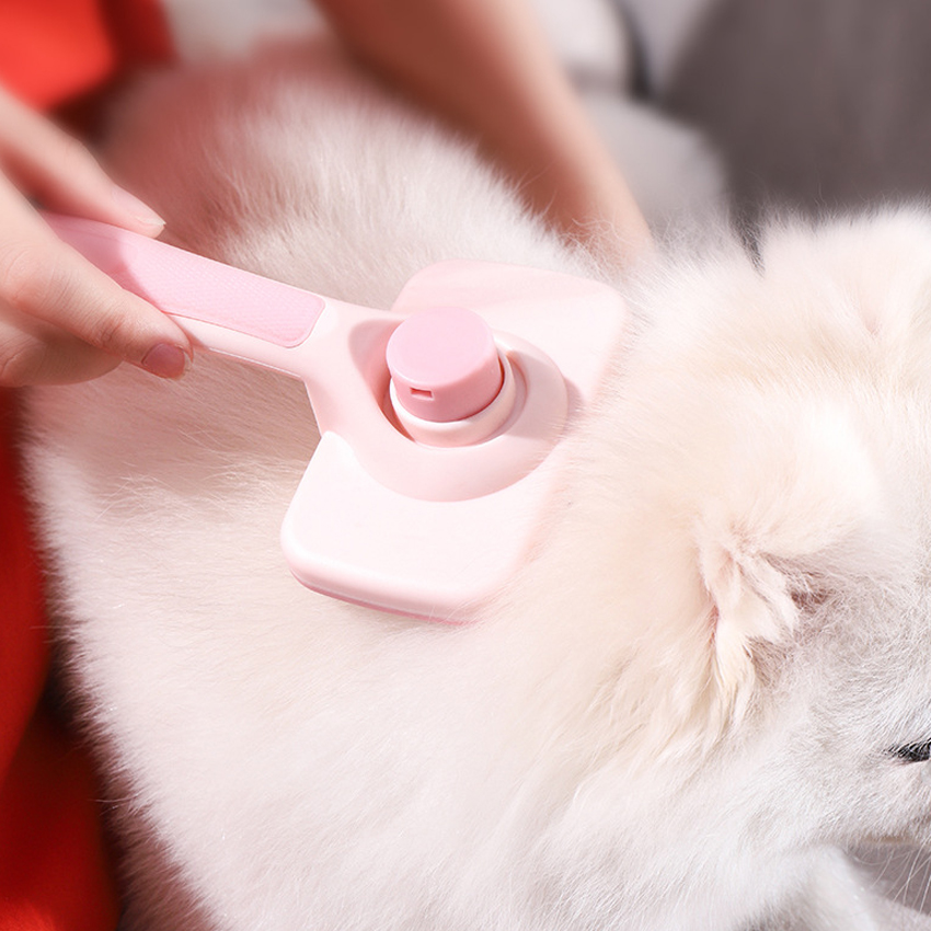 Customized pet comb manufacturers From China | Roadreign LLC-6345 9