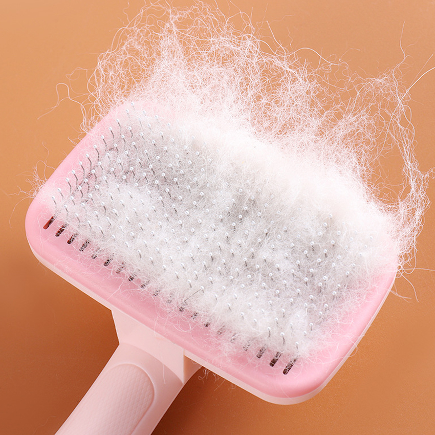 Customized pet comb manufacturers From China | Roadreign LLC-6345 5