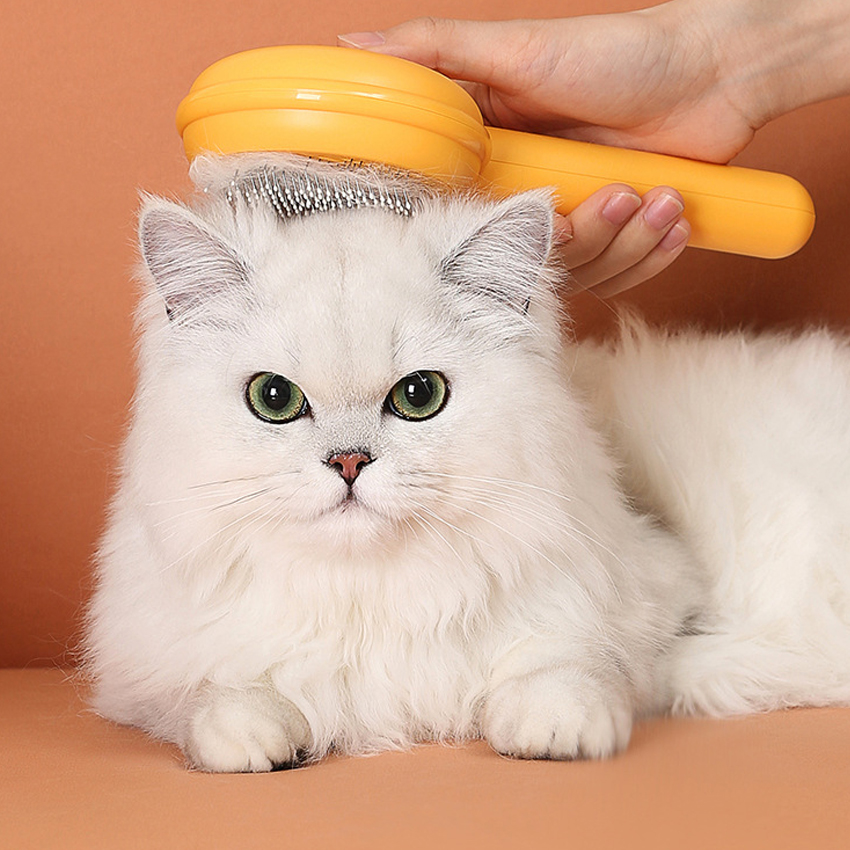 Best Customized pet comb manufacturers From China | Roadreign LLC-6338 Company - Roadreign 8