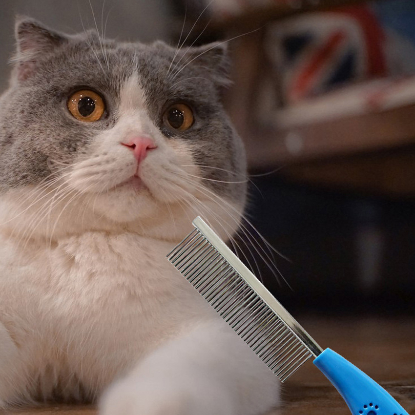 Best andis pet comb Company - Roadreign LL-6322 6