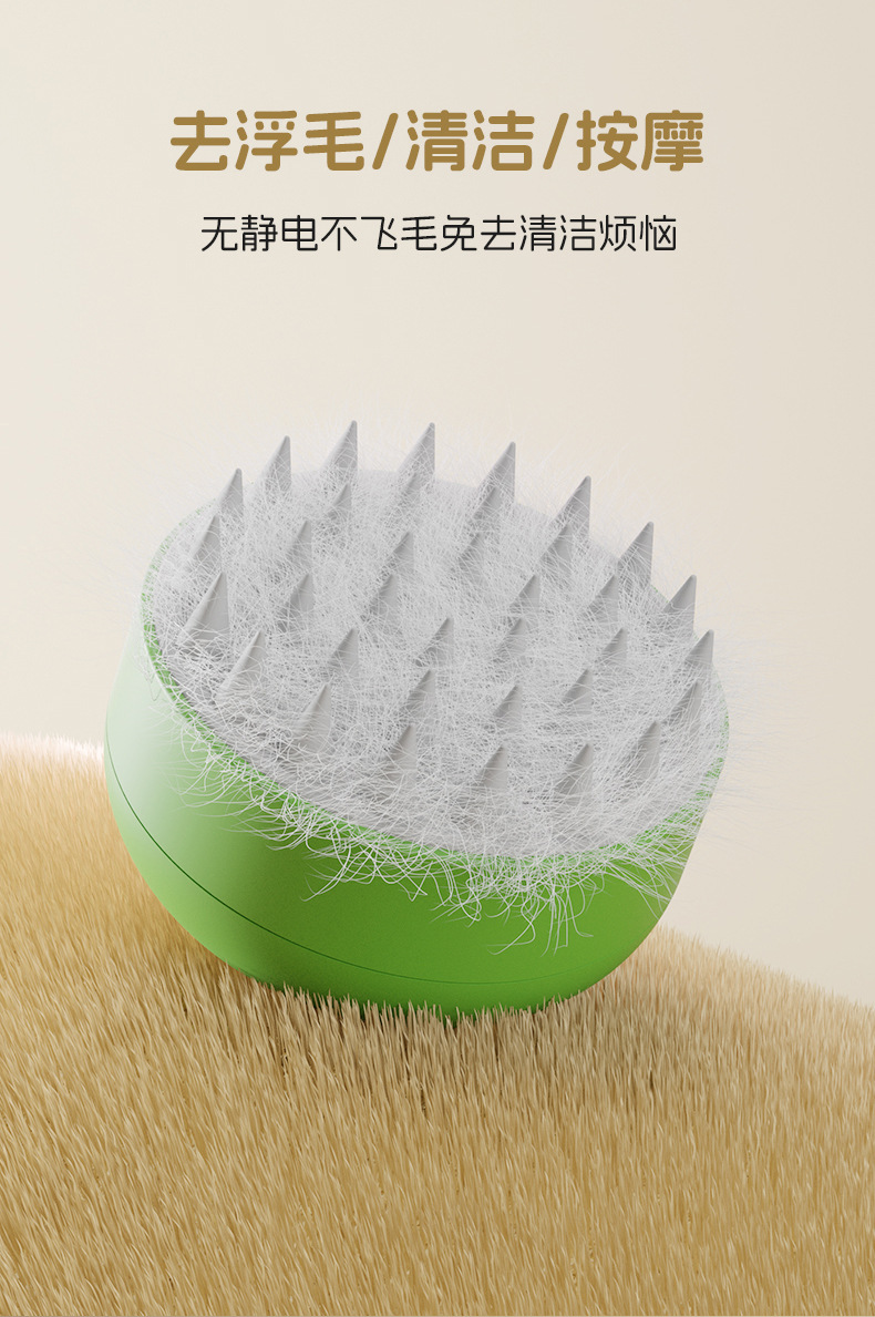 Fabricant de brosses vapeur de qualité pour chats | Roadreign LL-6071 2