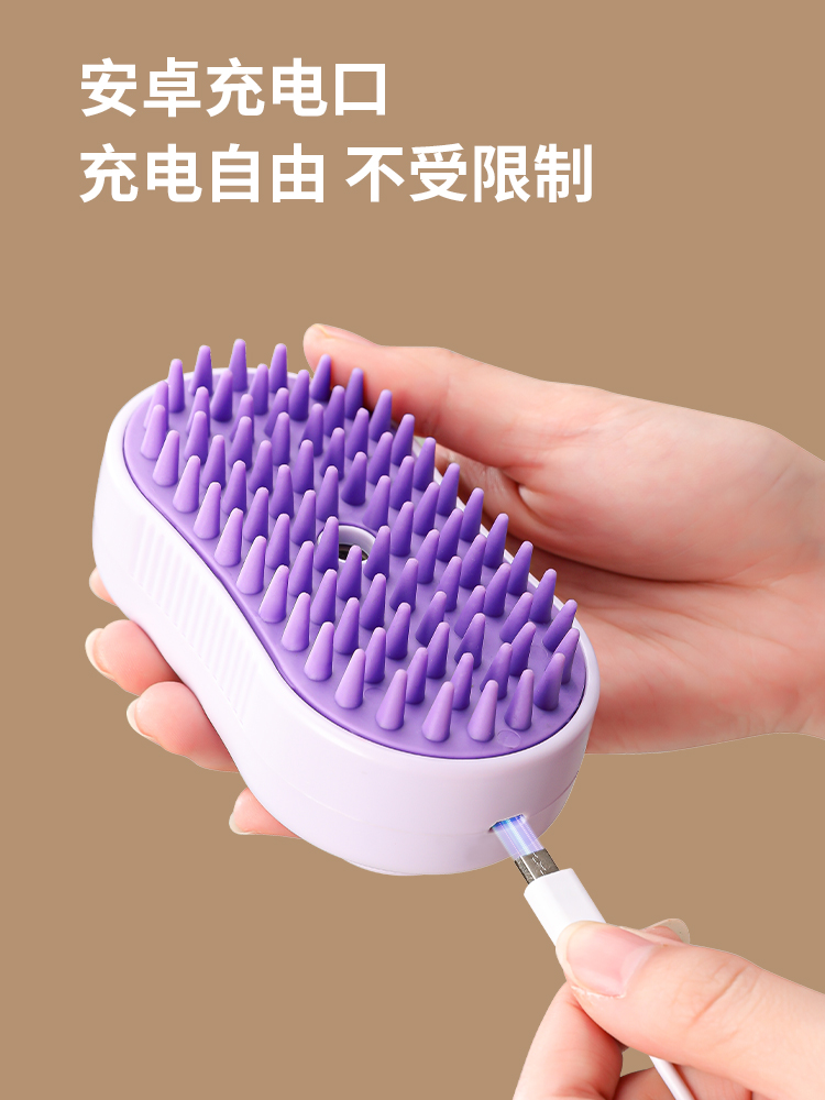 Best Cat Steam Brush Company - Roadreign LL-6067 3