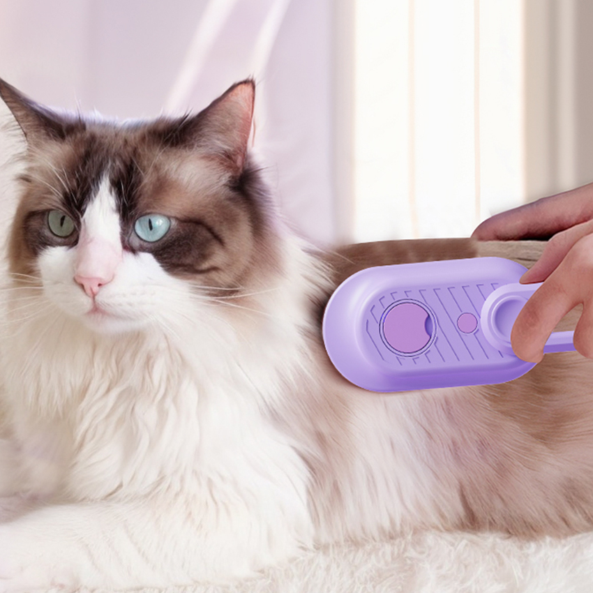Best Cat Steam Brush Company - Roadreign LL-6066 3