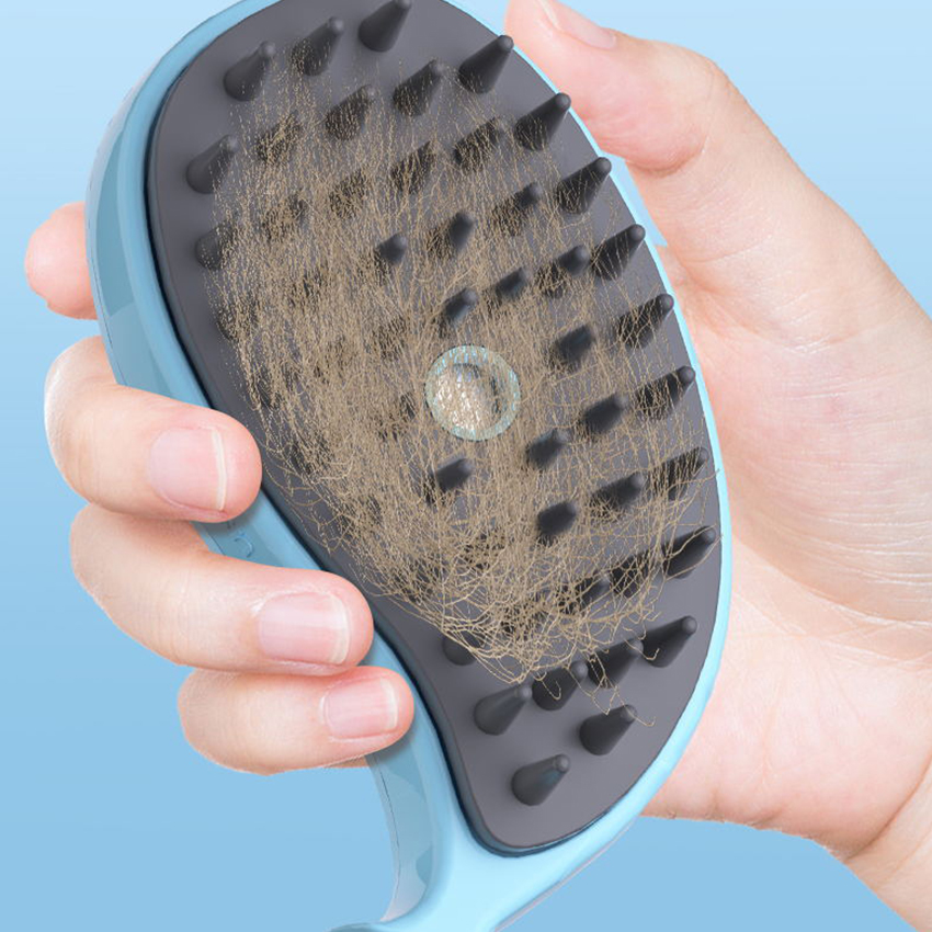 Best Cat Steam Brush Company - Roadreign LL-6060 9