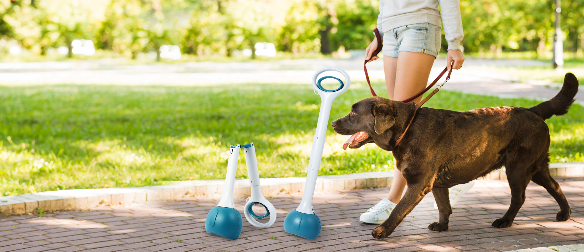 A professional pet products manufacturer