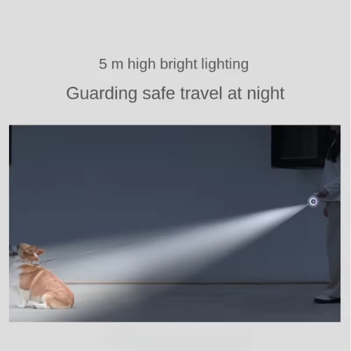 Correa retráctil LED NightGlow personalizada Roadreign: seguridad y rendimiento nocturno ultrabrillantes. 8