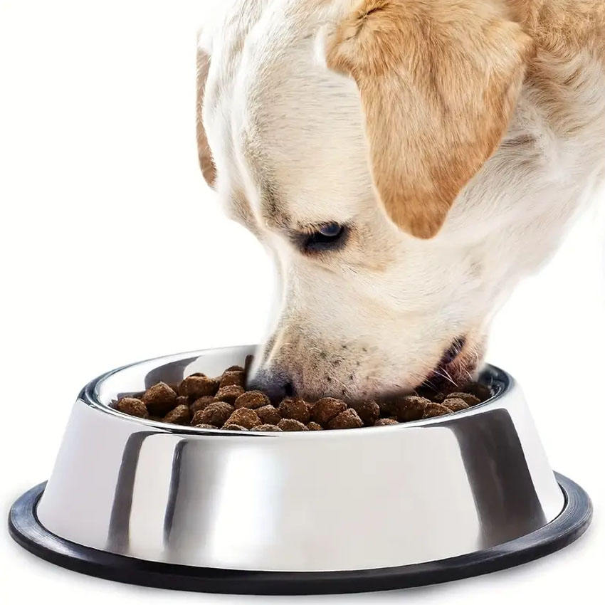 ROADREIGN - Premium Stainless Steel Dog Bowl – Heavy-Duty, Rust-Resistant & Non-Slip Base 8