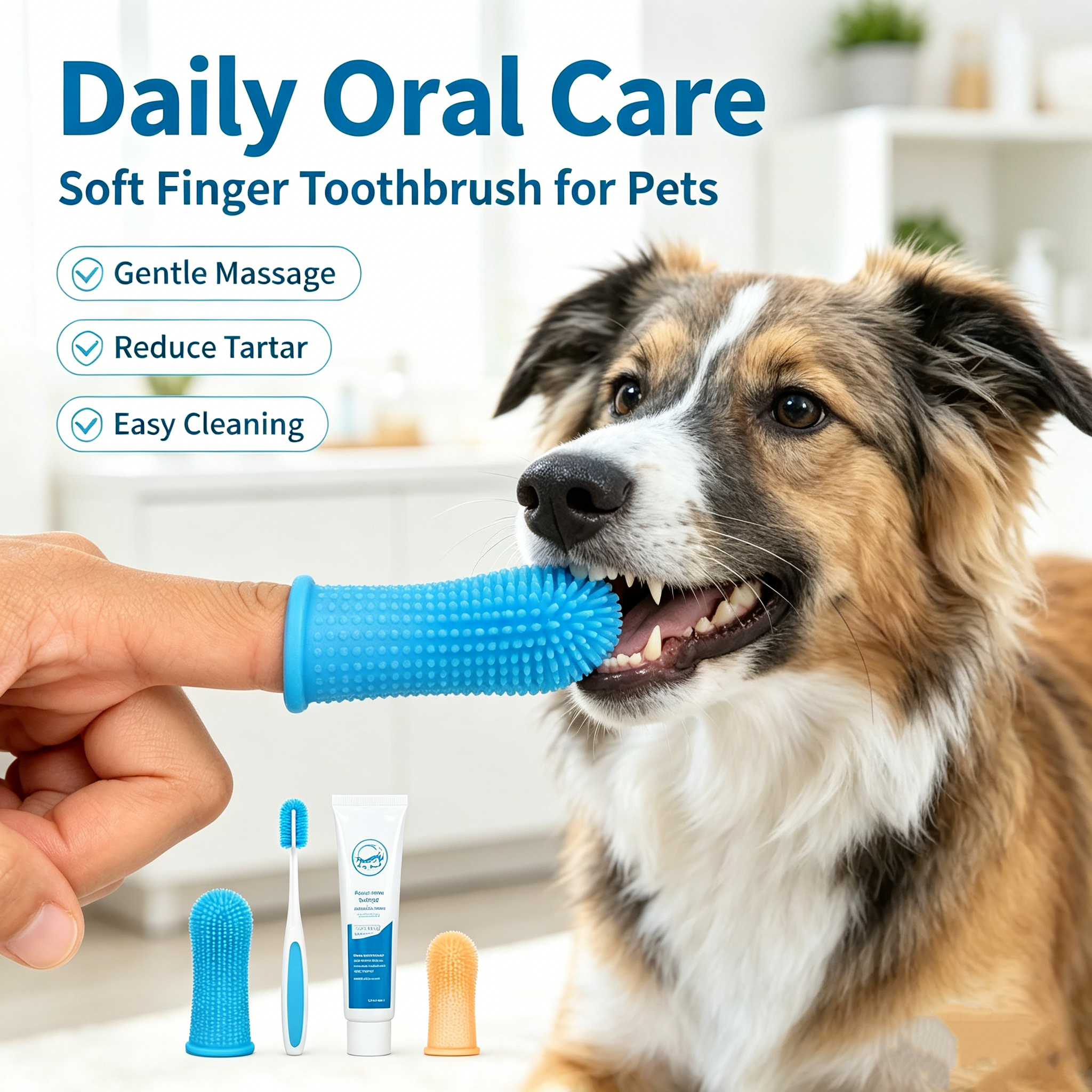 Quality Pet Teeth Brush Manufacturer | Roadreign LL-8506 1