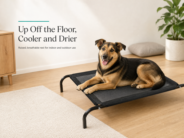 ROADREIGN - Raised Dog Camping Beds Waterproof Dog Elevated Dog Bed For Pet Off Ground Cooling Hammock Pet Beds&Accessories 3