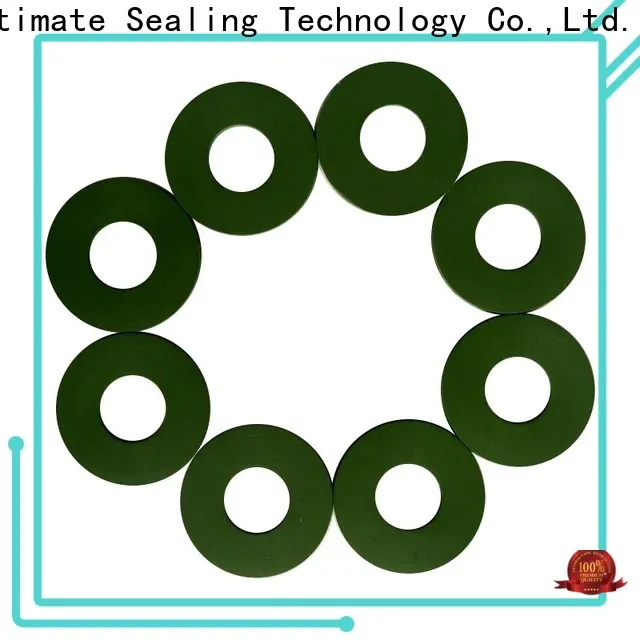 Ultimate FKM gasket with good price for sanitary 1