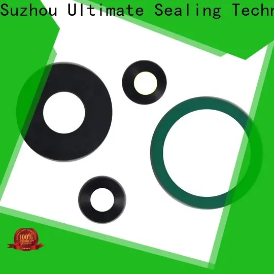 Ultimate efficient FKM gasket with good price for washer 1