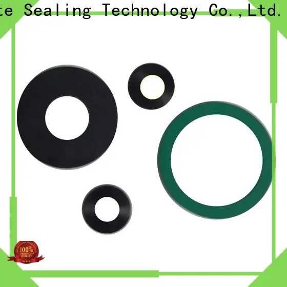 efficient FKM gasket design for chemical industry 1