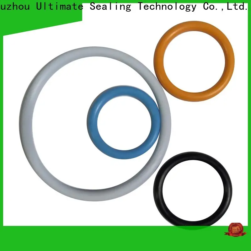 reliable food grade o ring personalized for chemical industries 1