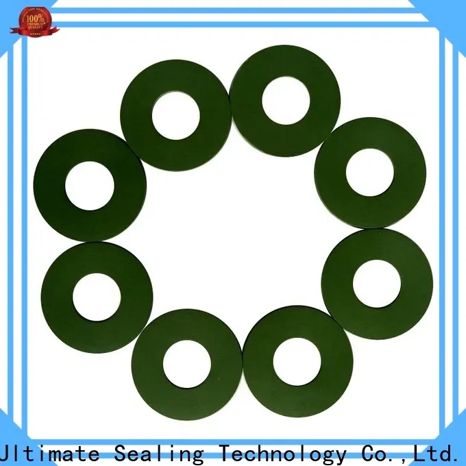 Ultimate long lasting FKM gasket with good price for sanitary 1
