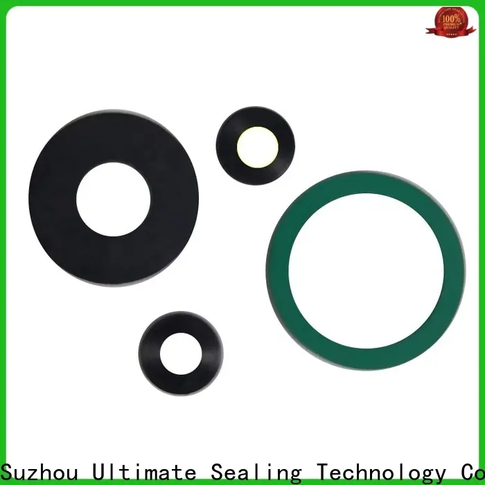 Ultimate stable FKM gasket with good price for machine industry 1