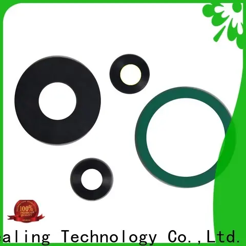 long lasting FKM gasket design for sanitary 1