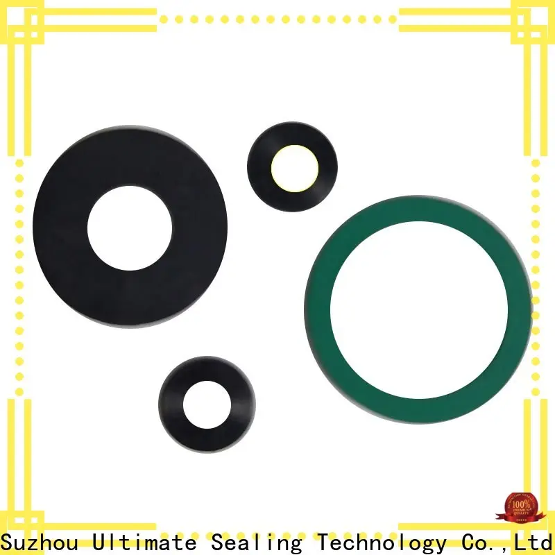 Ultimate efficient PTFE gasket with good price for sanitary 1