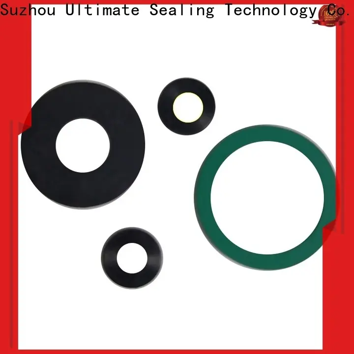Ultimate FKM gasket at discount for sanitary 1