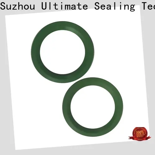 Ultimate FKM ED ring customized for transition joints 1