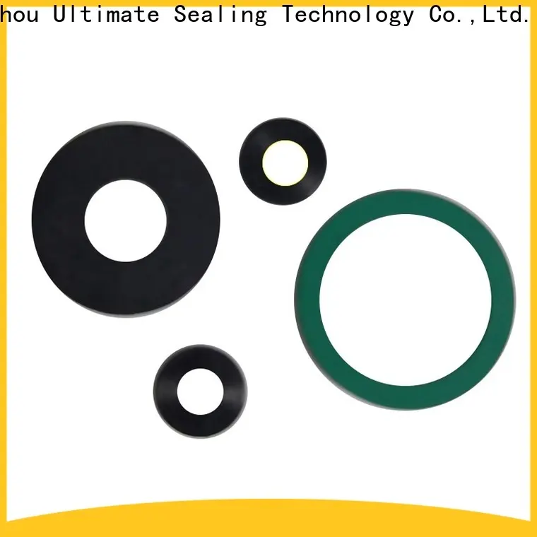 Ultimate colorful FKM gasket at discount for metal flange 1